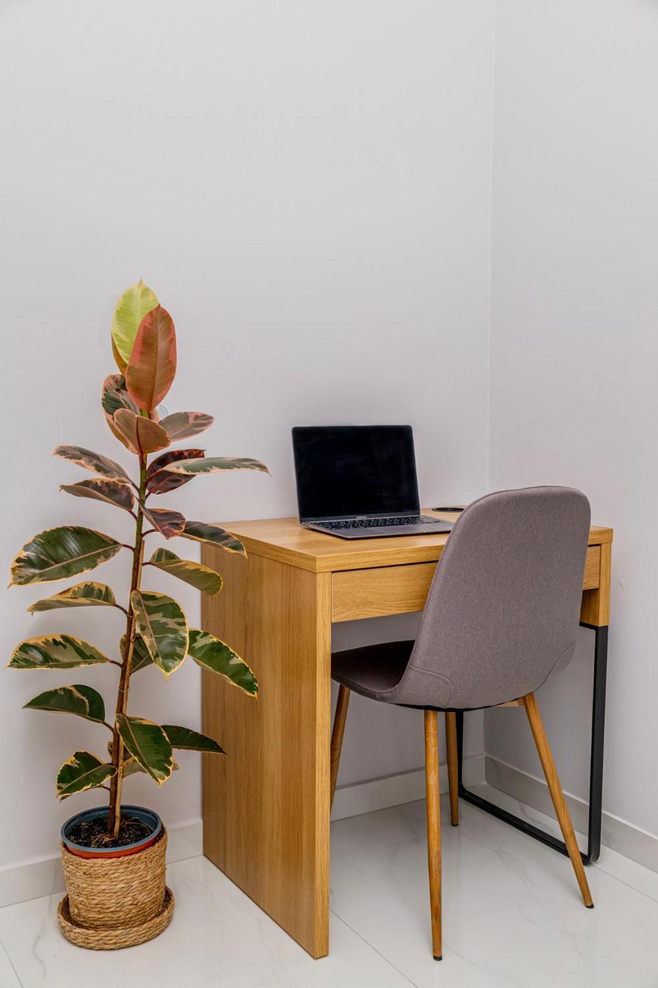 Cozy Studio In The City Center 테살로니키 외부 사진